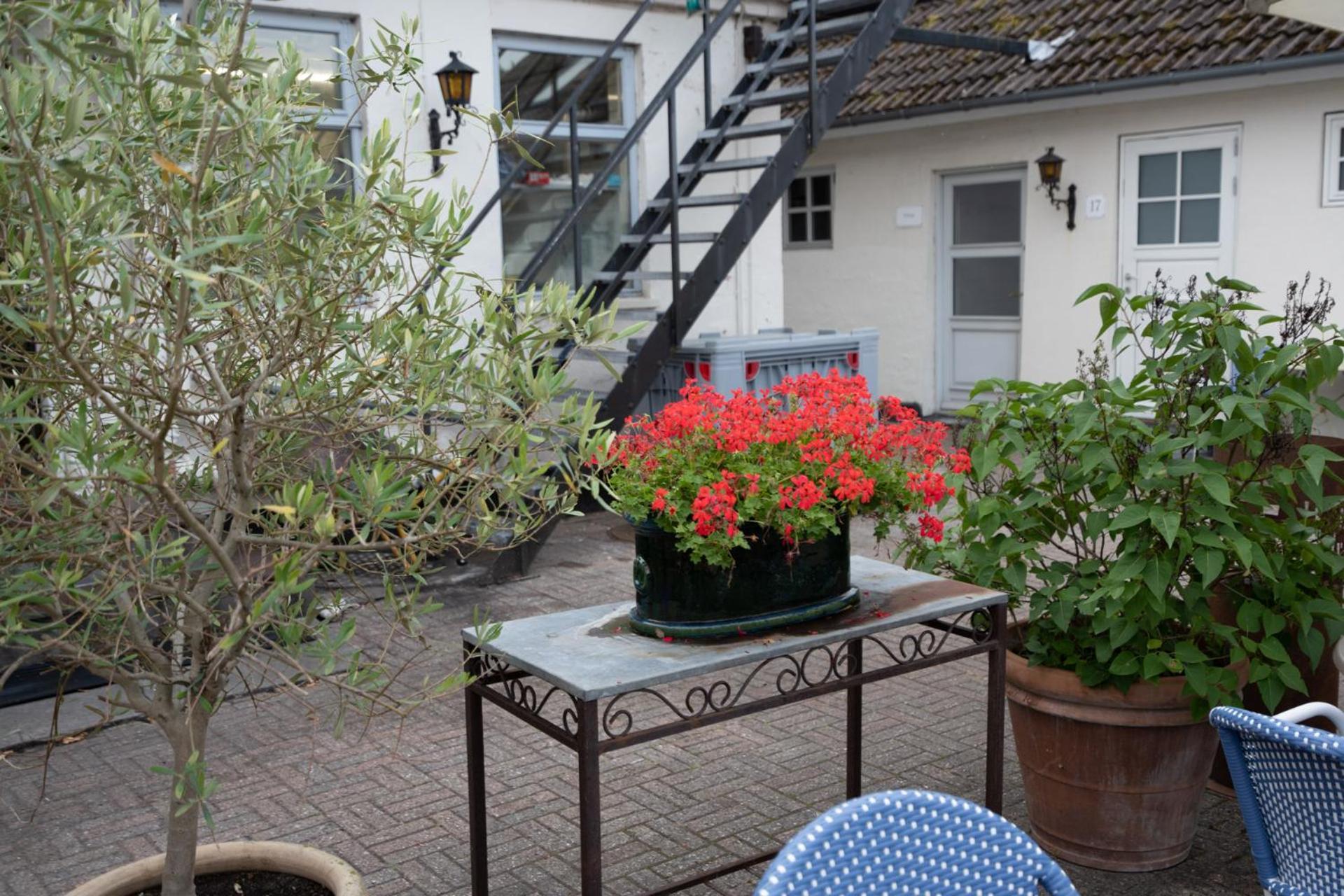 Rodvig Kro Og Badehotel Ngoại thất bức ảnh